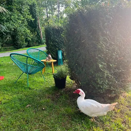 D Etangs Beaumesnil (Calvados)
